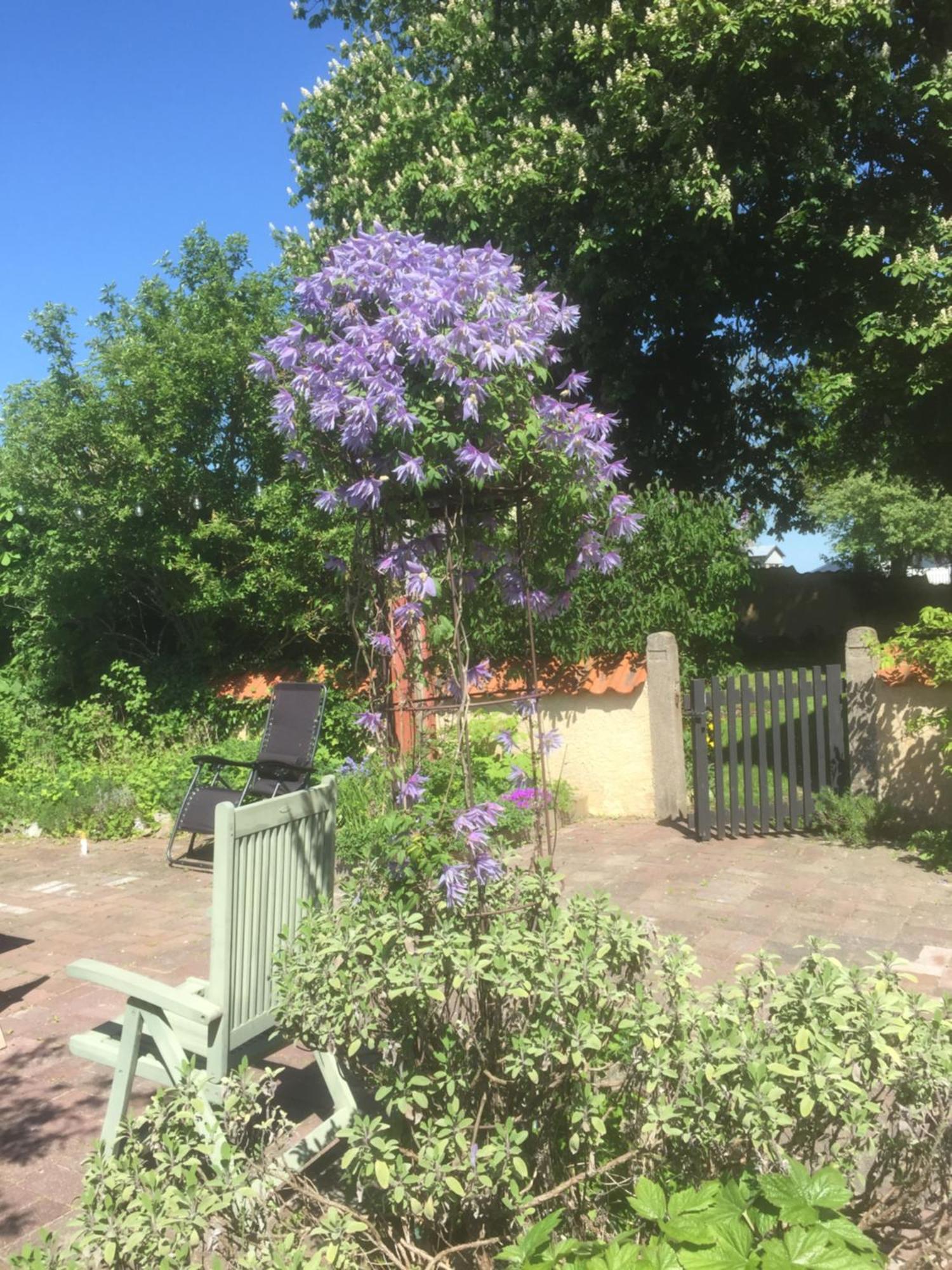 Koepmansgarden Bed & Breakfast Веллинг Номер фото