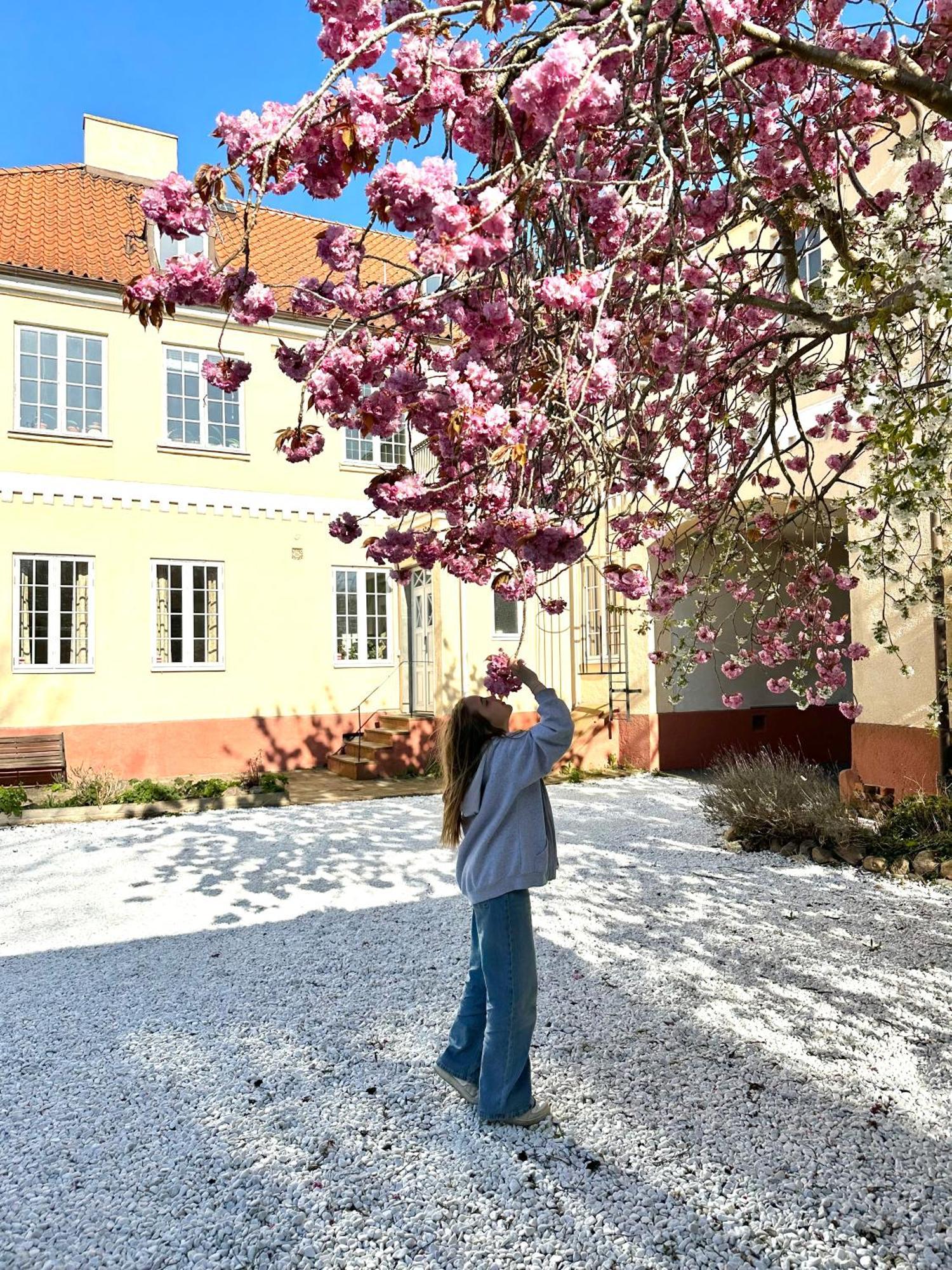 Koepmansgarden Bed & Breakfast Веллинг Номер фото