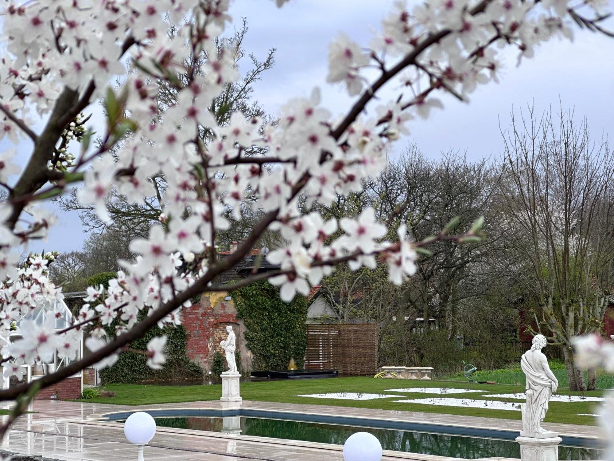 Koepmansgarden Bed & Breakfast Веллинг Номер фото